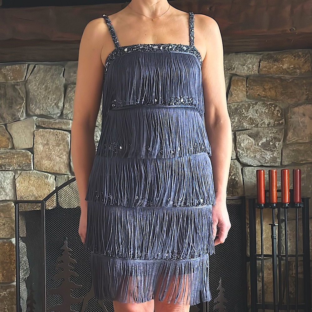 AIDAN MATTOX Sequined Flapper Fringe Dress, Steel Grey - Sz.6
❗️Only Worn Once❗️